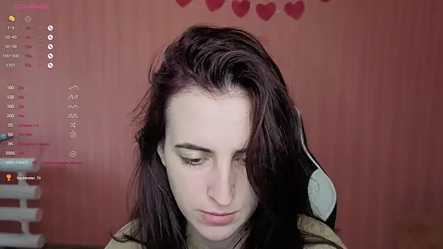 reaiss webcam