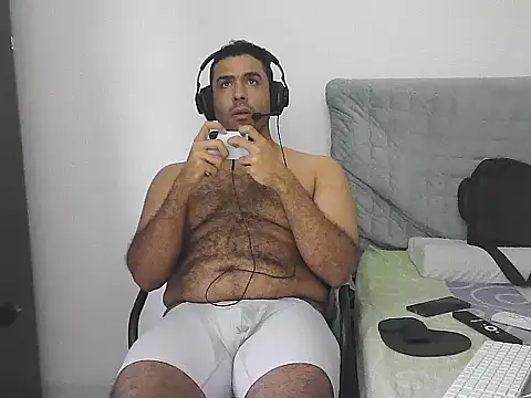 IronSideBear webcam