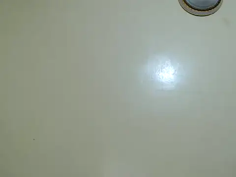 lynnsee webcam