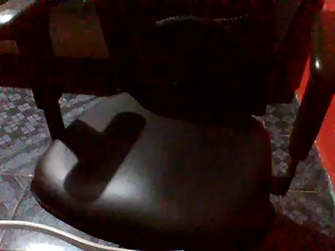 Sarado_Tesudo webcam