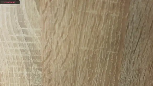 NoFace_Model webcam