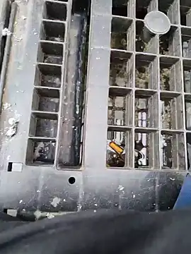 Hgay6935