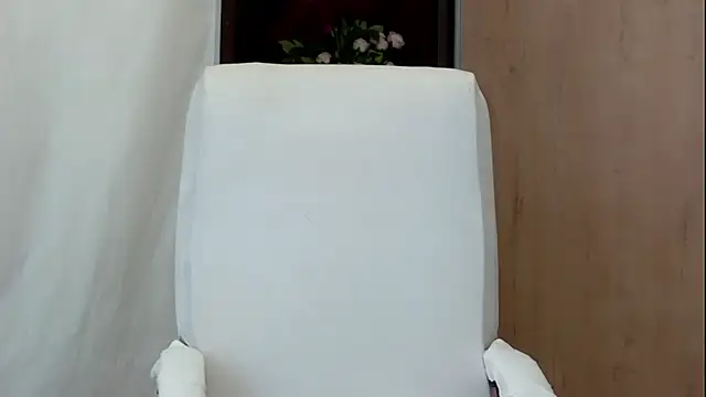IreneShine_ webcam