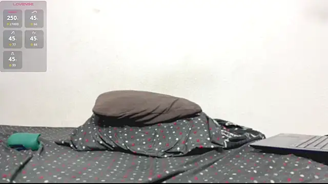 logan_x3 webcam