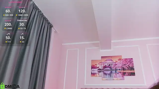 MayaSpringX webcam