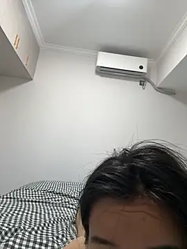 NiNa5203 webcam