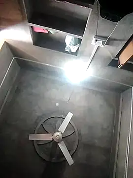 Loomaraj webcam