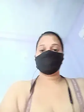 Hansikatelugu webcam