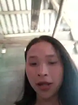 Liss-mimi webcam