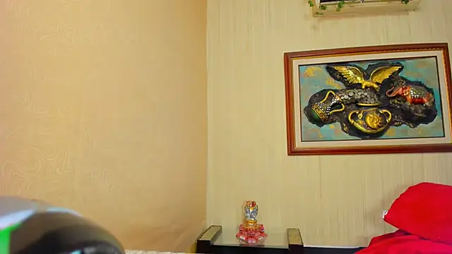 PowerExplosive webcam