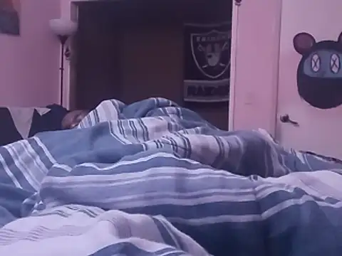 Blkstylion webcam