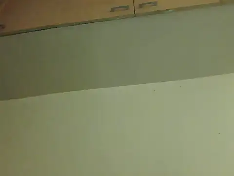 Straightchennaibull webcam