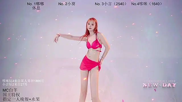 NEW-DAY webcam