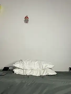soee_18 webcam