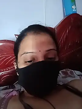Hansikatelugu webcam
