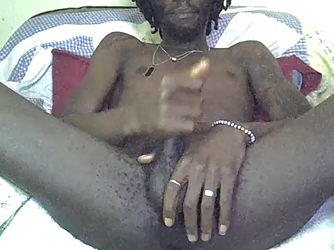 Delicious-D webcam