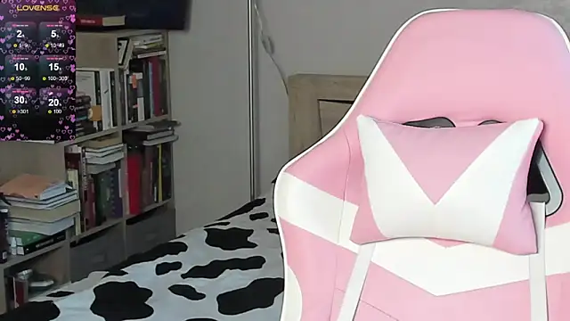 bbJ_one webcam