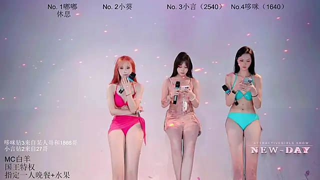 NEW-DAY webcam