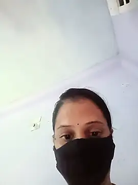 Hansikatelugu webcam
