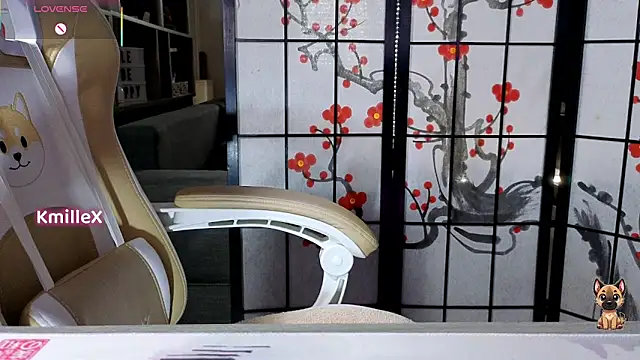 KmilleX webcam