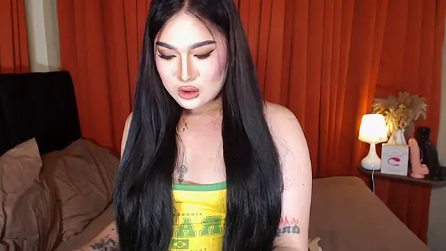 PereyLierge webcam