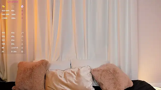 SweetVee webcam