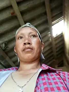 Heli_pusy webcam