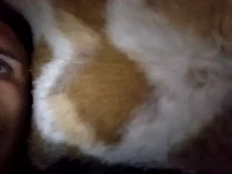 ElRicoeBranquinha webcam