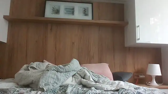 Lantti_Irres webcam