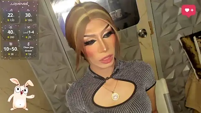 anitacruise webcam