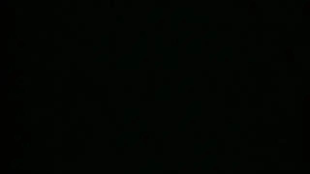 Ladywinter webcam