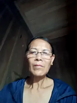 toyo_668 webcam