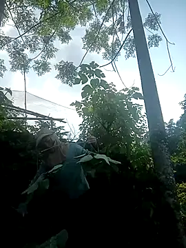 nangmo webcam