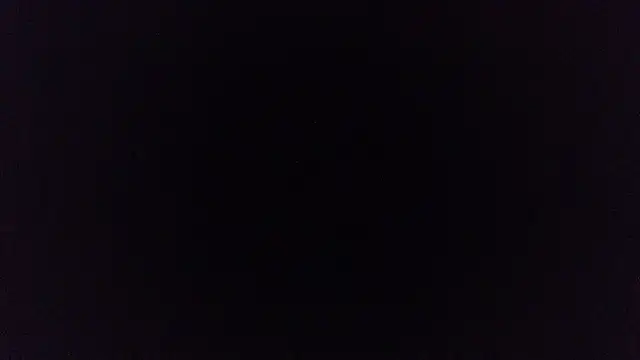 pinkycat webcam