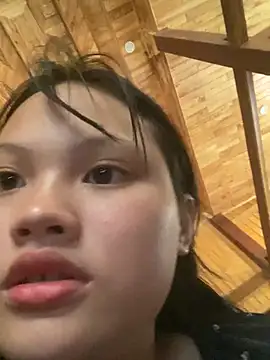 __Sunflower__ webcam