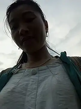 Hiniyk2 webcam