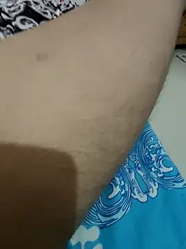 pune_model_111
