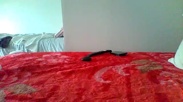 Camiin20 webcam