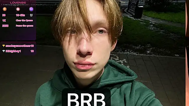 Daniel_Schmidt webcam