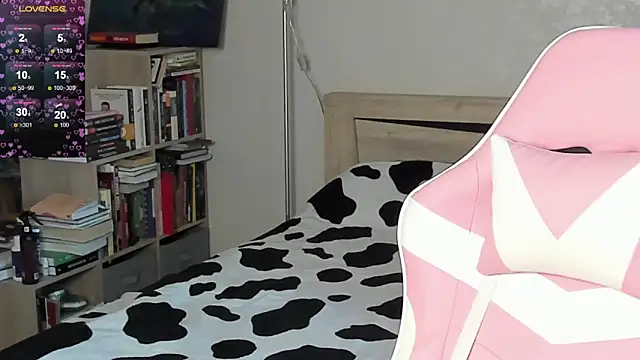 bbJ_one webcam