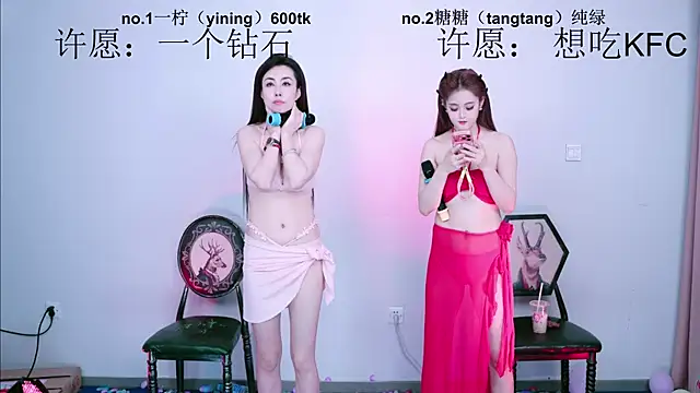 CCTW-100 webcam