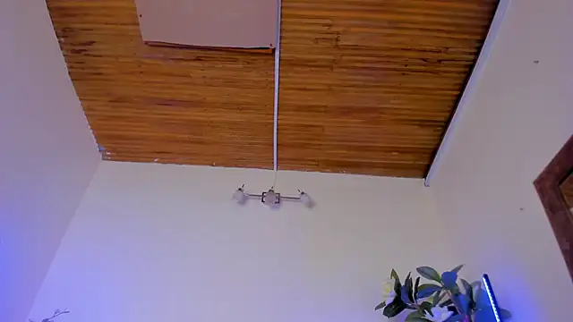 megan_shyne webcam