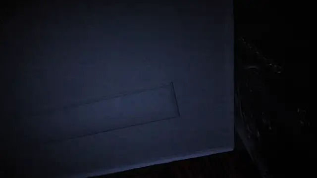 Evelin_Hellsing webcam