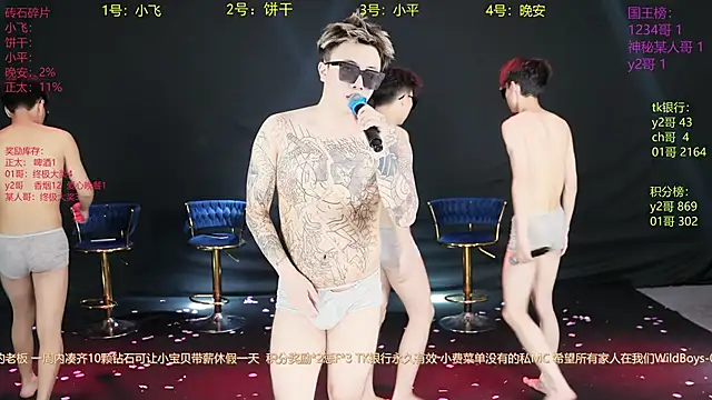 PerfectBoy-008 webcam