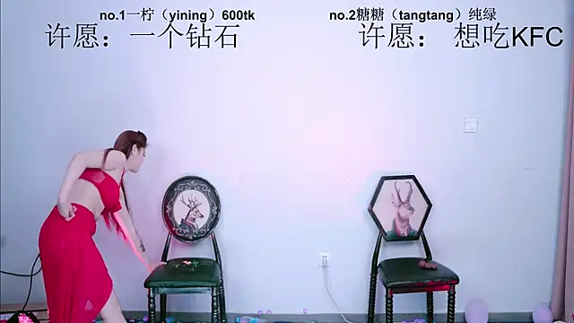 CCTW-100 webcam