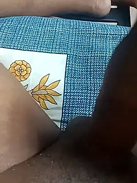 Indianshine webcam