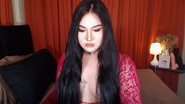 PereyLierge webcam