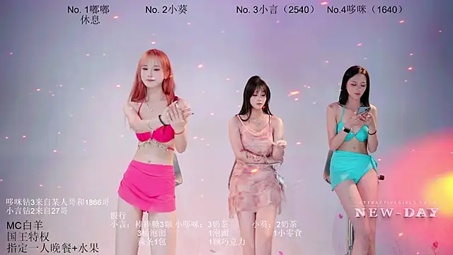NEW-DAY webcam