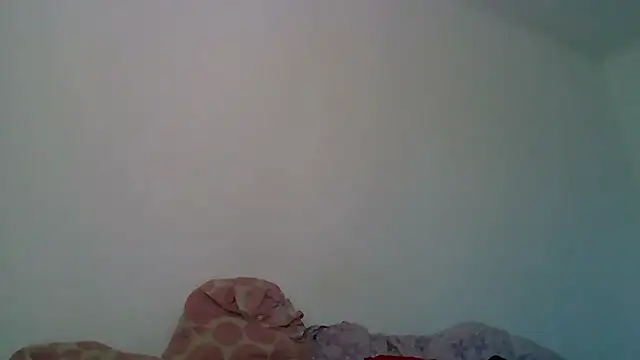 Kaappi1967 webcam