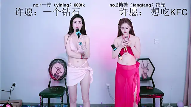 CCTW-100 webcam